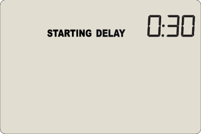 Delayed Start